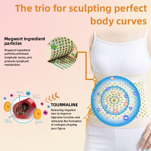 ๐
๐ข๐๐๐ซ ๐๐ง๐ ๐๐จ๐ซ๐ฆ๐ฐ๐จ๐จ๐ ๐๐จ๐๐ฒ ๐๐ก๐๐ฉ๐ข๐ง๐ ๐๐๐ข๐ฌ๐ญ ๐๐ซ๐จ๐ญ๐๐๐ญ๐จ๐ซ - Image 10