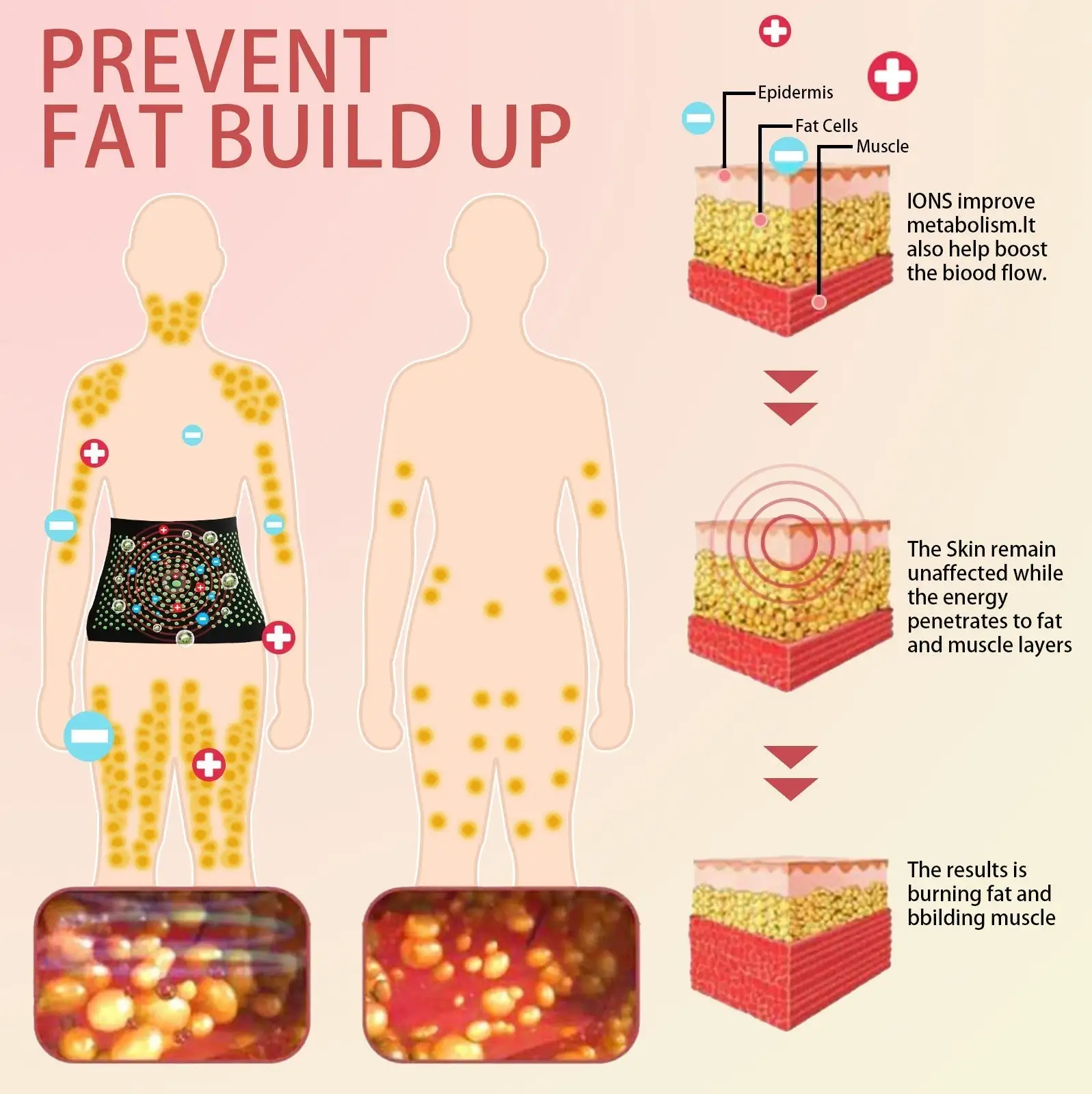 ๐
๐ข๐๐๐ซ ๐๐ง๐ ๐๐จ๐ซ๐ฆ๐ฐ๐จ๐จ๐ ๐๐จ๐๐ฒ ๐๐ก๐๐ฉ๐ข๐ง๐ ๐๐๐ข๐ฌ๐ญ ๐๐ซ๐จ๐ญ๐๐๐ญ๐จ๐ซ - Image 7