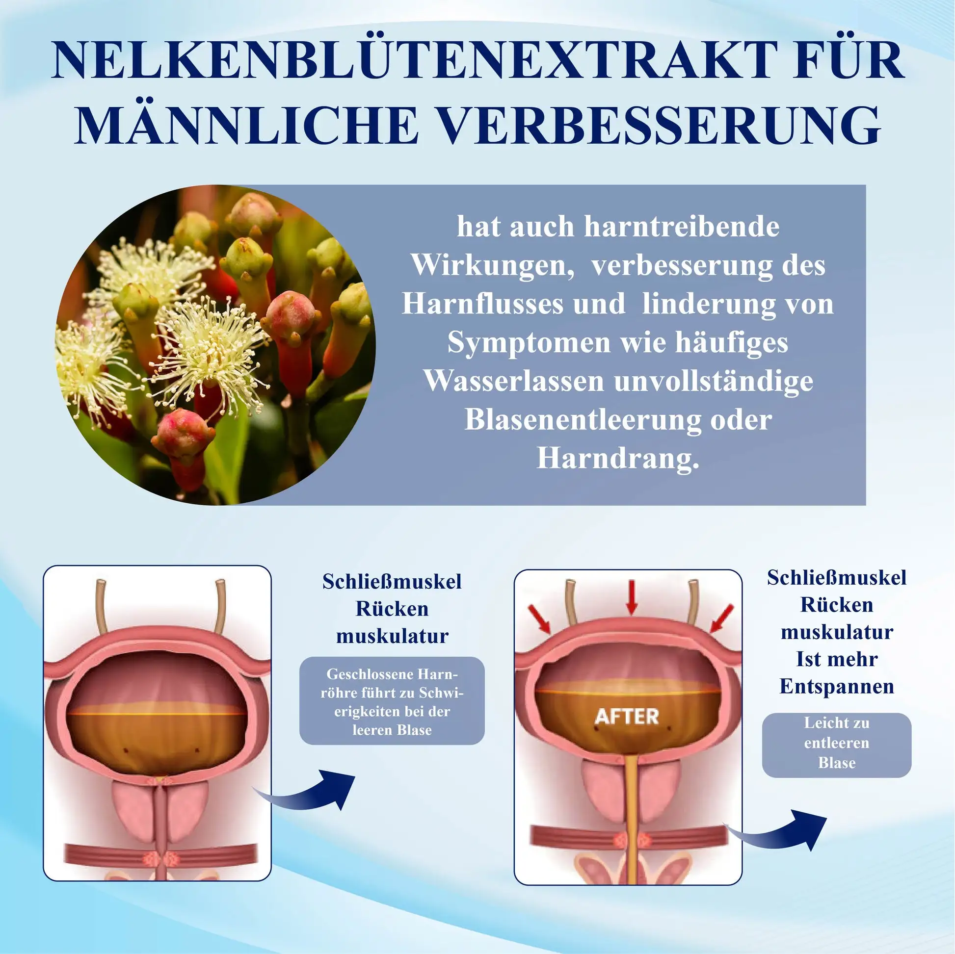 Männergesundheits Verbesserungspflaster - Image 6