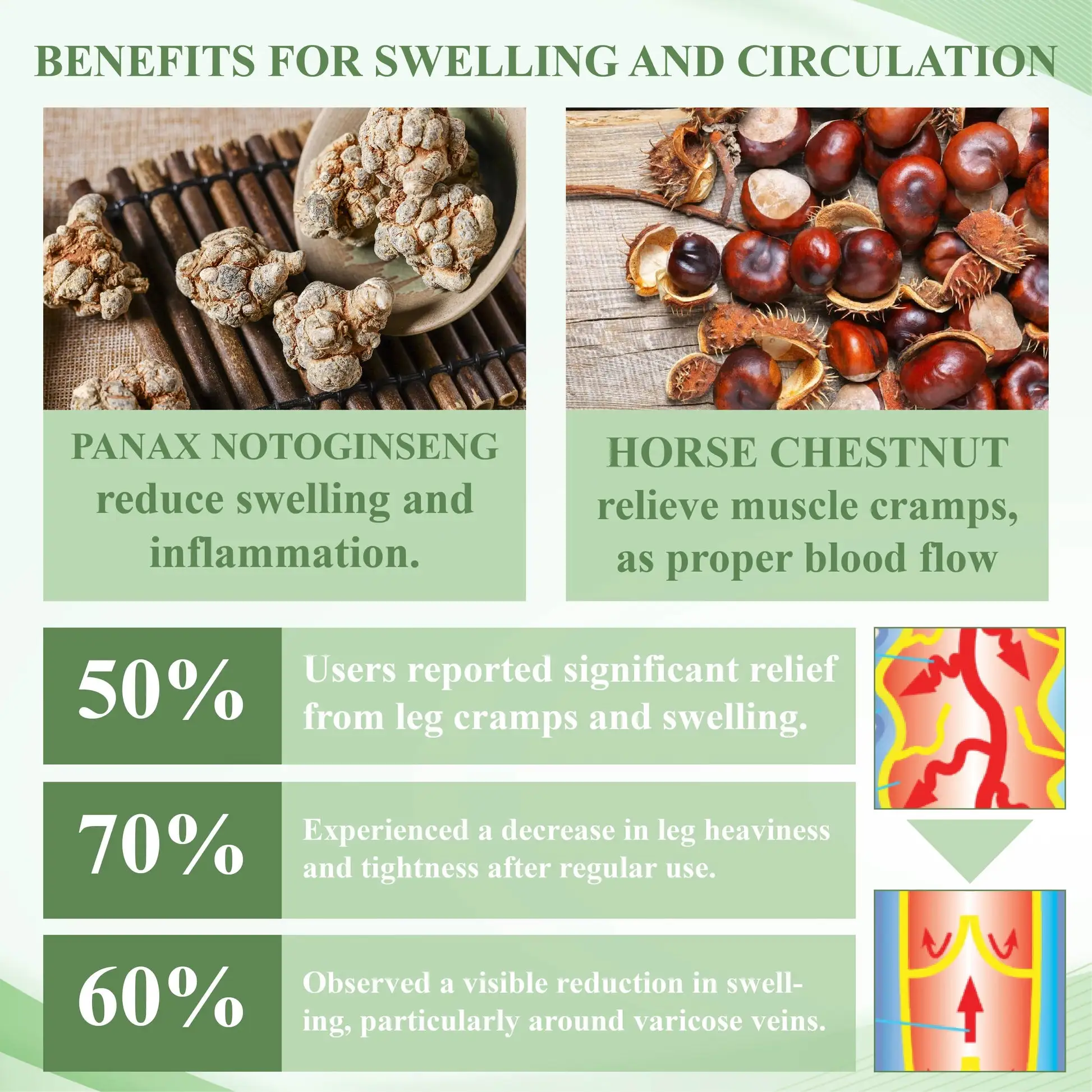 Detox Repair Supplement drops - Image 4