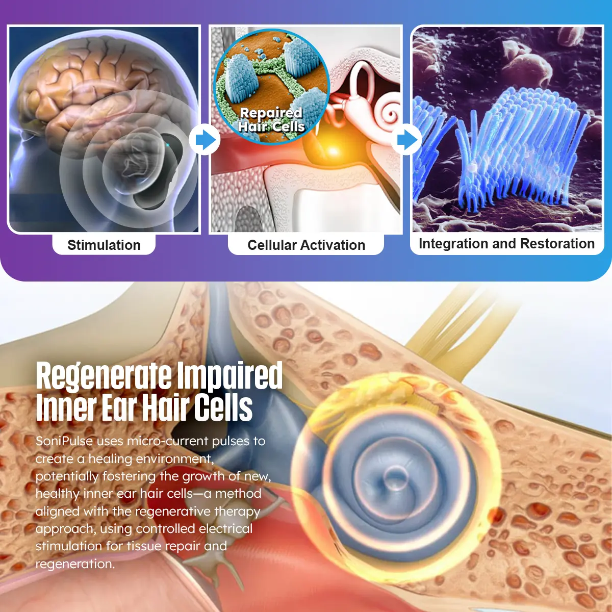 Dafeila™ SoniPulse Tinnitus Relief Soothing Aid - Image 4