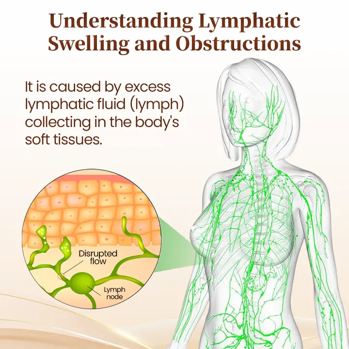 DIYSTAR LymphAura Germanium Detox Earrings - Image 6