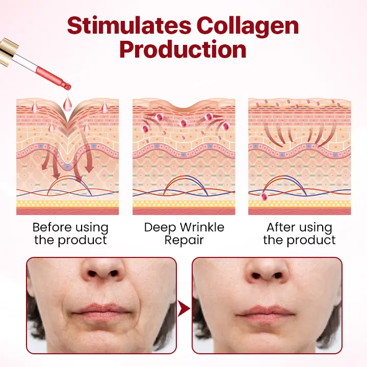 Reishi & Dragon's Blood Anti-Wrinkle Serum - Image 4