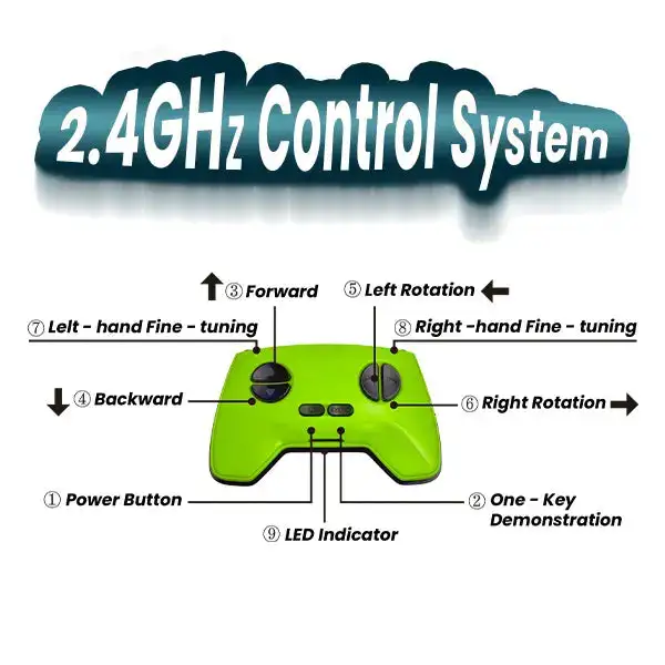 Wall Crawler Gecko - Image 6