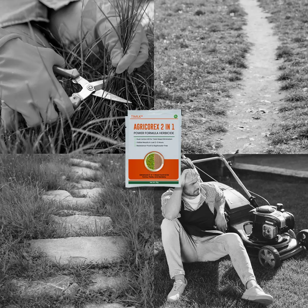 AgriCoreX 2in1 Power Formula Herbicide - Image 6