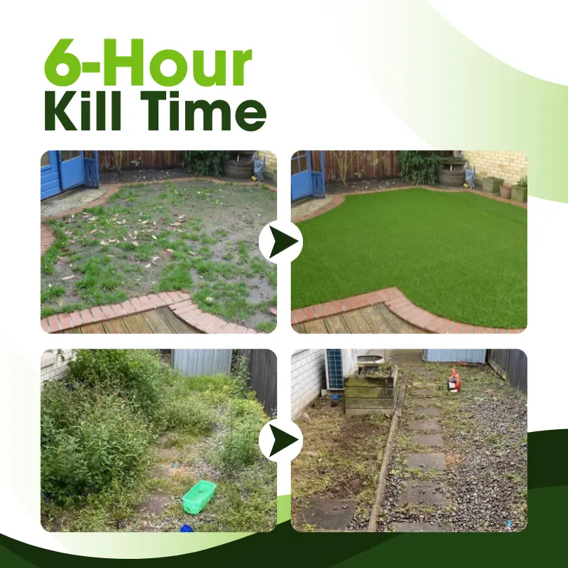 ClearYard Dual-Action Herbicide - Image 4