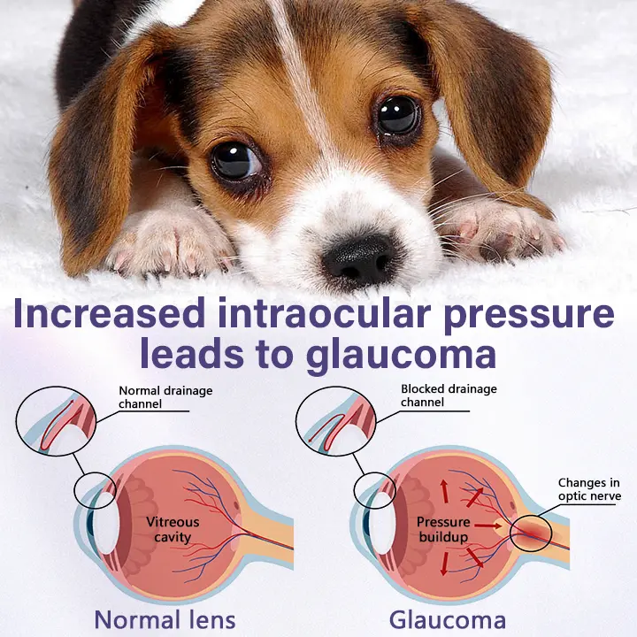 NanoCare Pet Eye Drops - Image 5