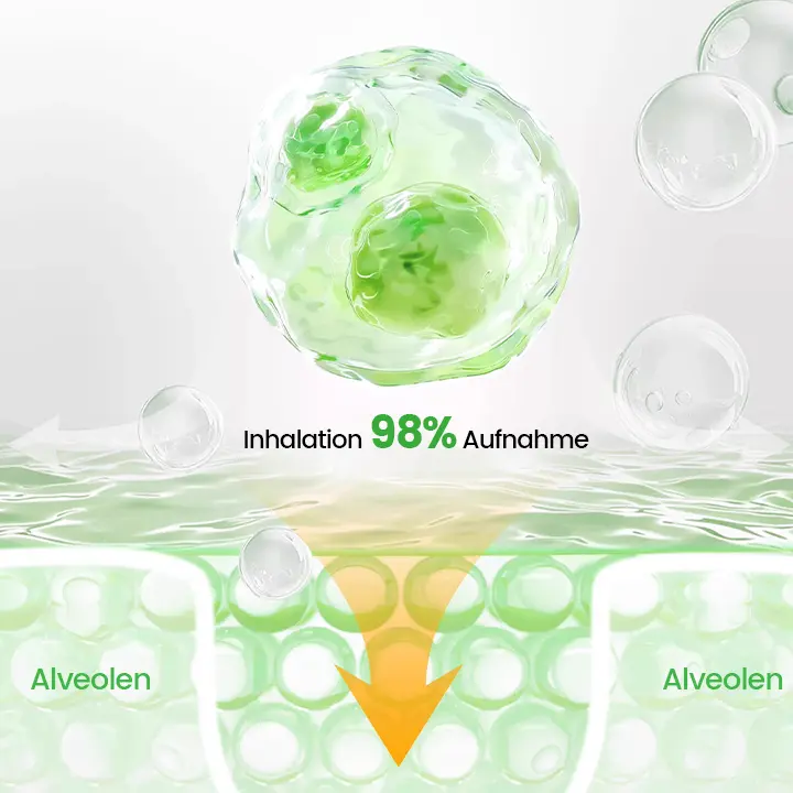 Pulmovia Quercetin Lungenentgiftungs-Inhalator - Image 5