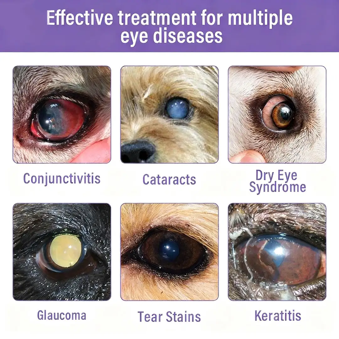 NanoCare Pet Eye Drops - Image 4