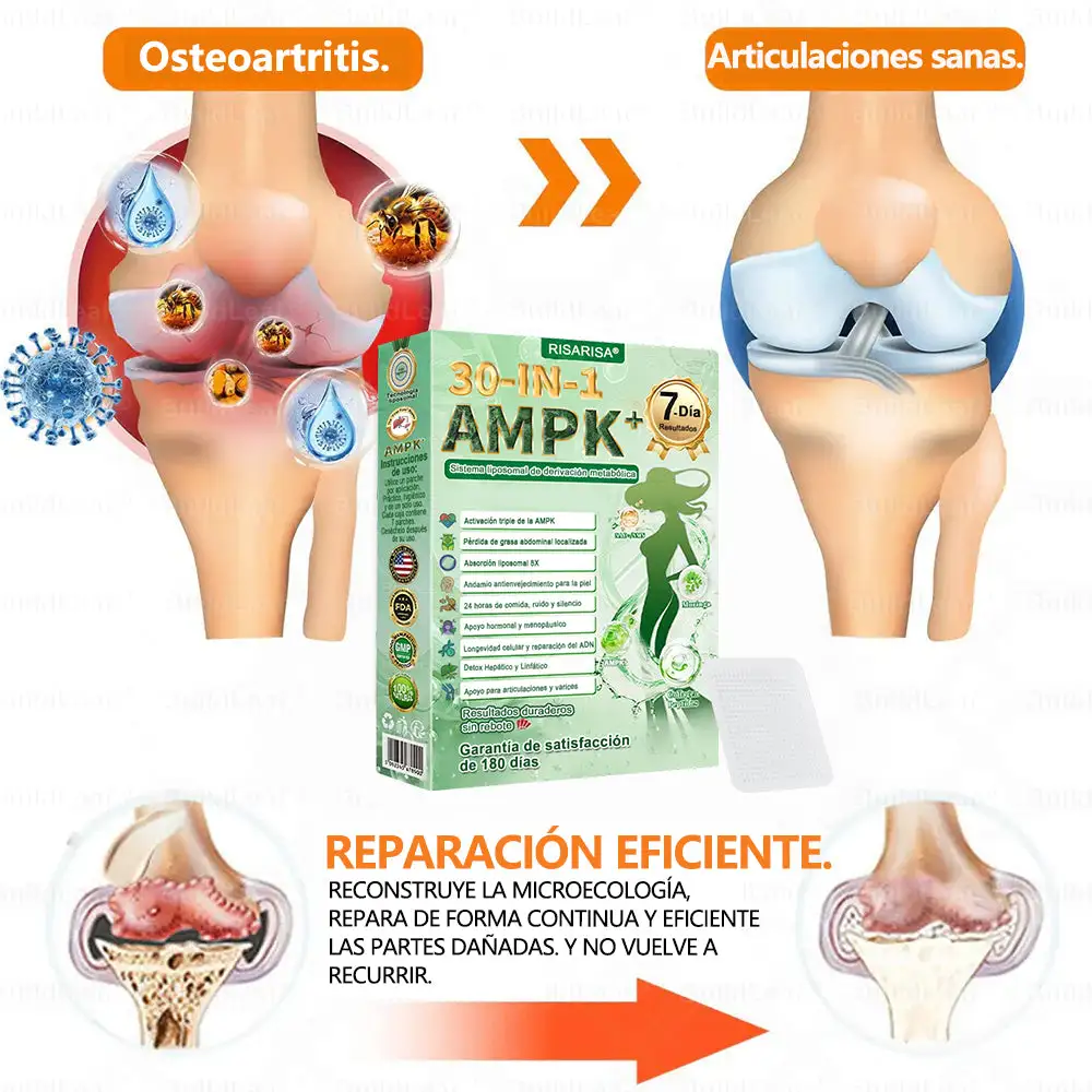 30-๐๐-๐ ๐๐๐ซ๐๐ก๐ ๐๐๐ญ๐๐๐จฬ๐ฅ๐ข๐๐จ & ๐๐๐๐๐ข๐ซ๐ฆ๐๐ง๐ญ๐ - Image 13