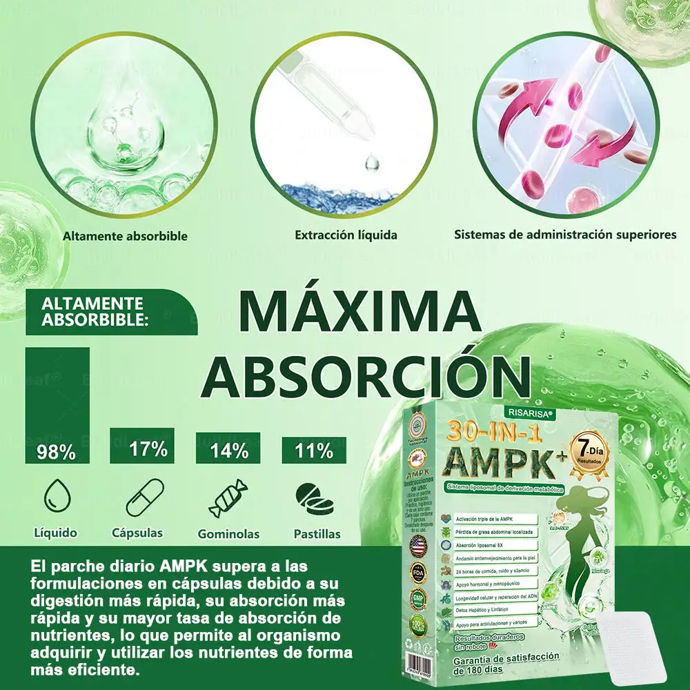 30-๐๐-๐ ๐๐๐ซ๐๐ก๐ ๐๐๐ญ๐๐๐จฬ๐ฅ๐ข๐๐จ & ๐๐๐๐๐ข๐ซ๐ฆ๐๐ง๐ญ๐ - Image 14