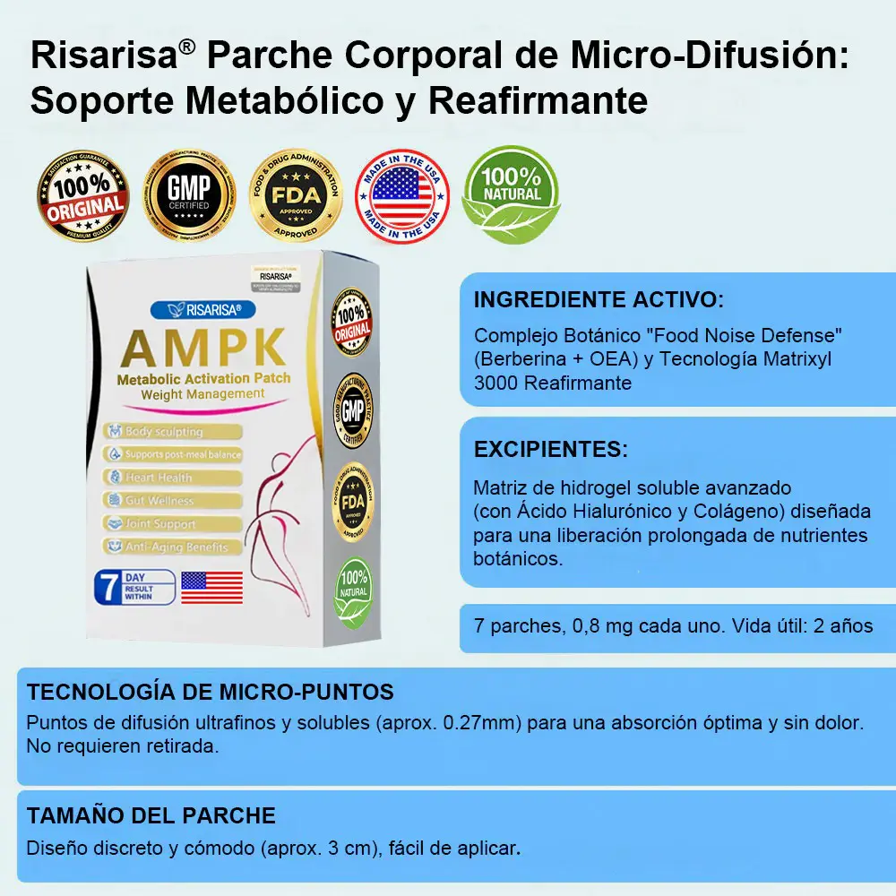 ๐๐๐ซ๐๐ก๐ ๐๐๐ญ๐๐๐จฬ๐ฅ๐ข๐๐จ & ๐๐๐๐๐ข๐ซ๐ฆ๐๐ง๐ญ๐ - Image 15