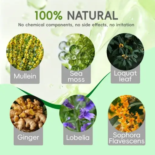 Pure Breathe Mullein Drops - Image 3