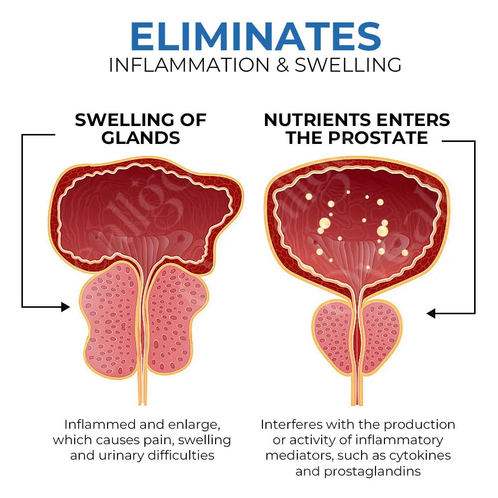 BeeDom Thai Herbal Inhaler for Prosta Wellness - Image 7