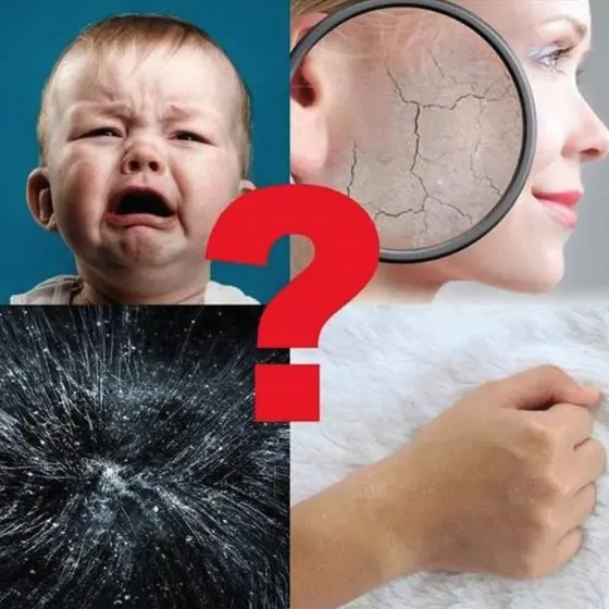 Natural Herbal Mite Exterminating Pad - Image 2