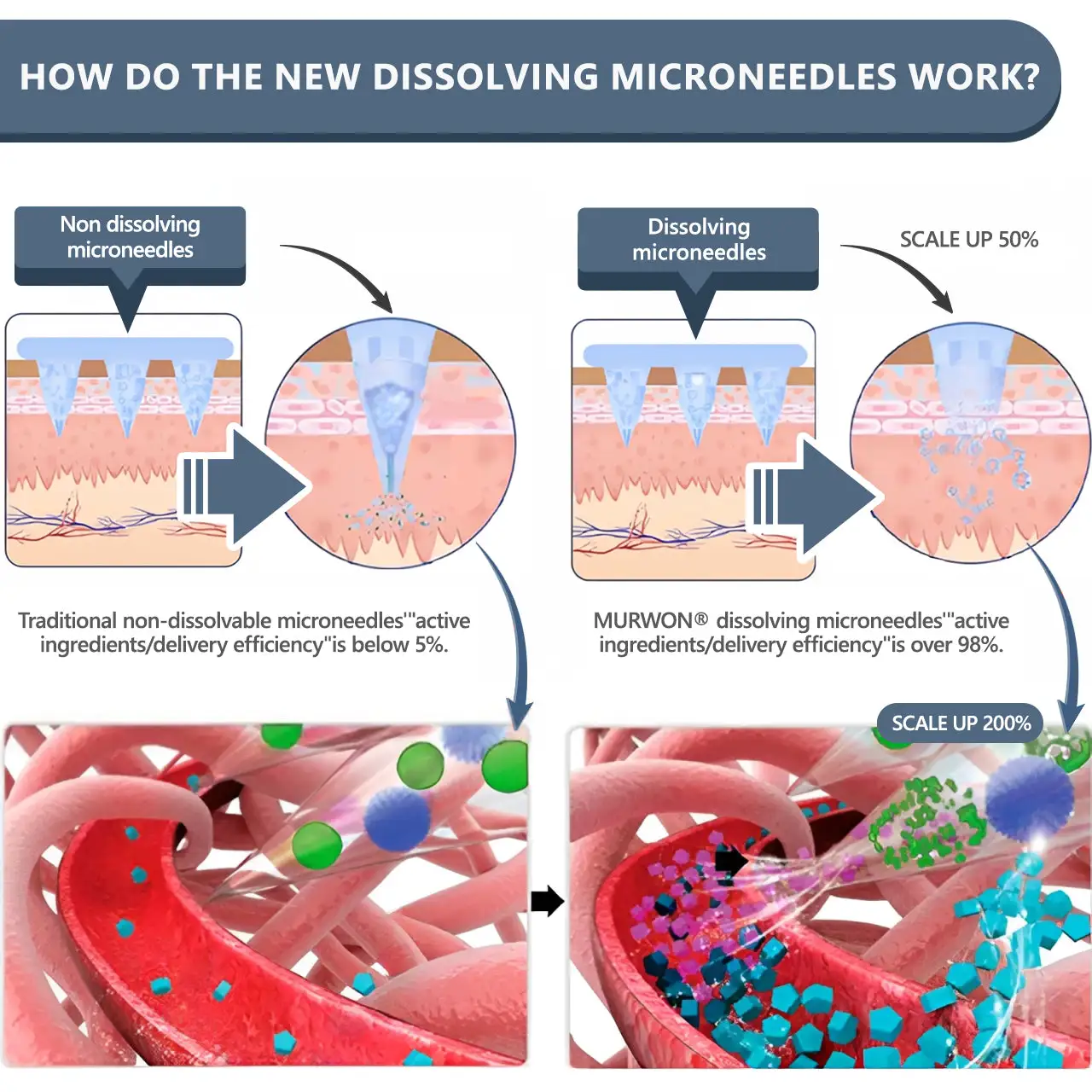 ๐ฉ๐๐๐๐๐ง๐๐๐ & ๐ต๐ผ๐ฟ & ๐๐ซ๐๐ฉ๐ก๐ฒ๐ป๐ฒ 10-๐๐-1 ๐ต๐ช๐ท๐ ๐ด๐๐๐๐๐ท๐๐๐
๐๐ ๐๐๐๐ฌ๐ - Image 12