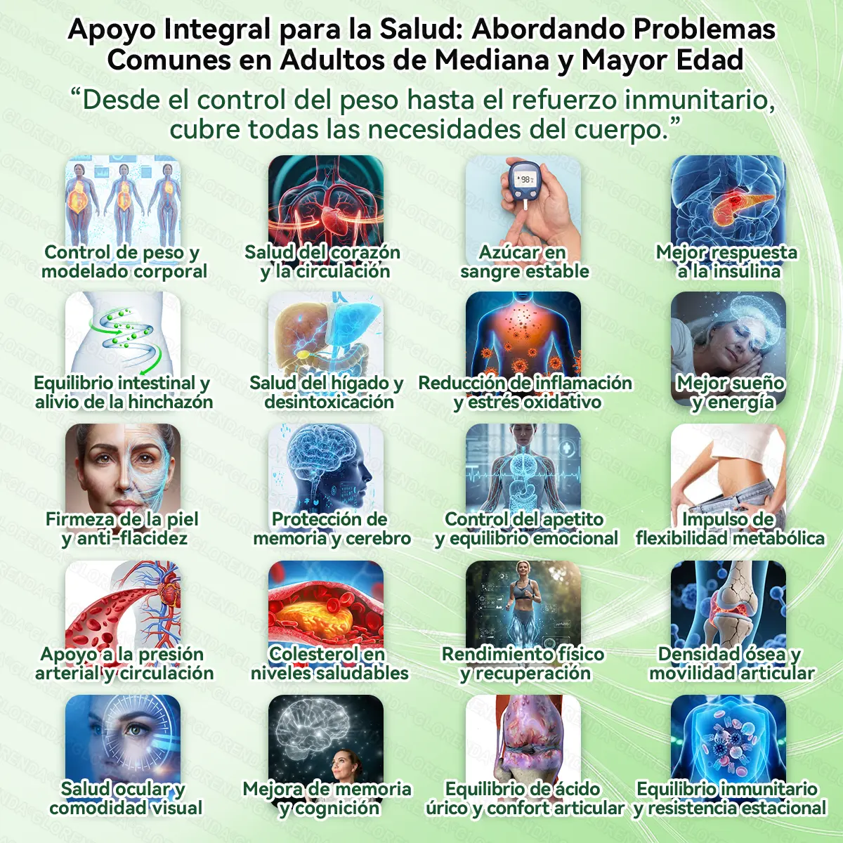 ๐ต๐จ๐ซ+ 10-๐๐-1 ๐จ๐๐๐๐๐๐
๐ ๐ต๐๐๐ ๐
๐ ๐ด๐๐๐๐๐๐๐๐๐ ๐ท๐๐๐๐๐ - Image 7