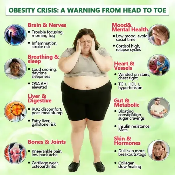 ๐๐ฒ๐ฟ๐ฏ๐ฒ๐ฟ๐ถ๐ป๐ฒ ๐๐-๐ข๐ง-๐ ๐ก๐ฎ๐ป๐ผ ๐ ๐ถ๐ฐ๐ฟ๐ผ๐ป๐ฒ๐ฒ๐ฑ๐น๐ฒ ๐ฃ๐ฎ๐๐ฐ๐ต - Image 10