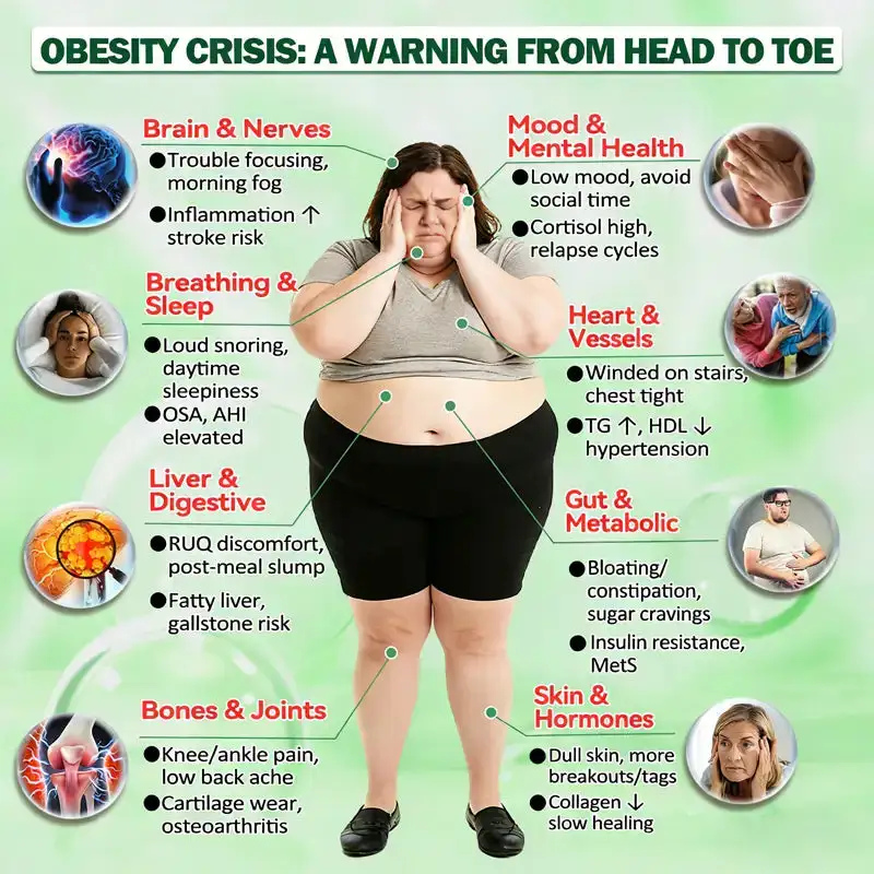 ใ๐ฎ๐ช ๐๐๐๐ข๐๐ข๐๐ฅ ๐๐ซ๐๐ฅ๐๐ง๐ ๐๐ญ๐จ๐ซ๐ใ๐งโโ๏ธ๐ฒ ๐๐จ๐ซ๐ข๐ง๐ ๐ ยท ๐๐๐ซ๐๐๐ซ๐ข๐ง๐ ร ๐๐๐+ ๐๐-๐ข๐ง-๐ ๐๐๐ฏ๐๐ง๐๐๐ ๐๐๐ง๐จ ๐๐ข๐๐ซ๐จ๐ง๐๐๐๐ฅ๐ ๐๐๐ญ๐๐ก - Image 4