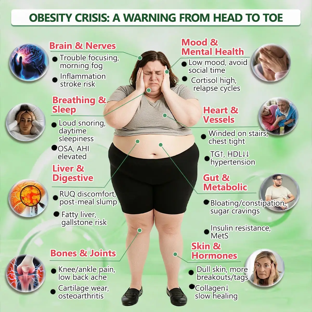 ๐ด๐๐๐๐๐๐ฎ ยท ๐๐ฒ๐ฟ๐ฏ๐ฒ๐ฟ๐๐ฃ๐ ร ๐๐ผ๐+ ๐๐-๐ข๐ง-๐ ๐๐ฑ๐๐ฎ๐ป๐ฐ๐๐ ๐๐๐ฃ๐ค ๐๐๐๐ง๐ค๐ฃ๐๐๐๐ฅ๐ ๐๐๐ญ๐๐ - Image 13