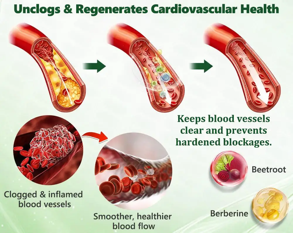 ๐ด๐๐๐๐๐๐ฎ ยท ๐๐ฒ๐ฟ๐ฏ๐ฒ๐ฟ๐๐ฃ๐ ร ๐๐ผ๐+ ๐๐-๐ข๐ง-๐ ๐๐ฑ๐๐ฎ๐ป๐ฐ๐๐ ๐๐๐ฃ๐ค ๐๐๐๐ง๐ค๐ฃ๐๐๐๐ฅ๐ ๐๐๐ญ๐๐ - Image 16