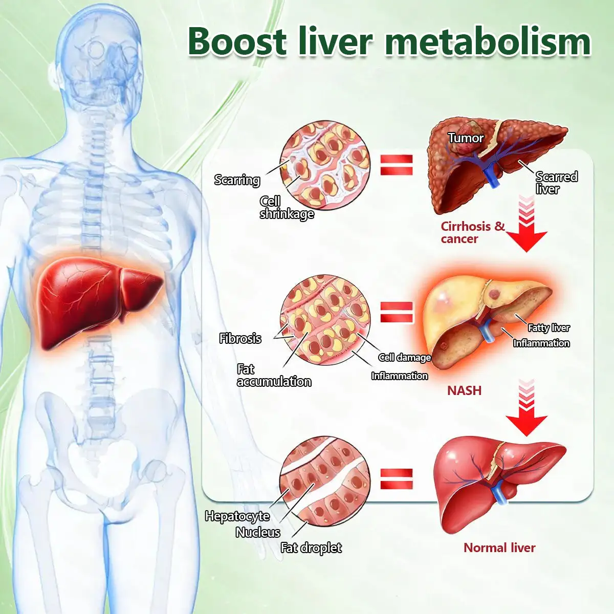 ๐ด๐๐๐๐๐๐ฎ ยท ๐๐ฒ๐ฟ๐ฏ๐ฒ๐ฟ๐๐ฃ๐ ร ๐๐ผ๐+ ๐๐-๐ข๐ง-๐ ๐๐ฑ๐๐ฎ๐ป๐ฐ๐๐ ๐๐๐ฃ๐ค ๐๐๐๐ง๐ค๐ฃ๐๐๐๐ฅ๐ ๐๐๐ญ๐๐ - Image 17