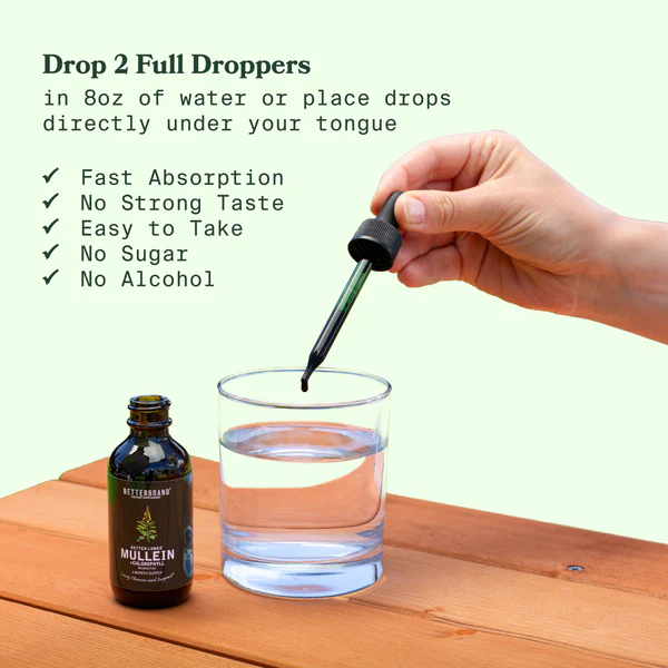 Mullein + Chlorophyll - Image 2