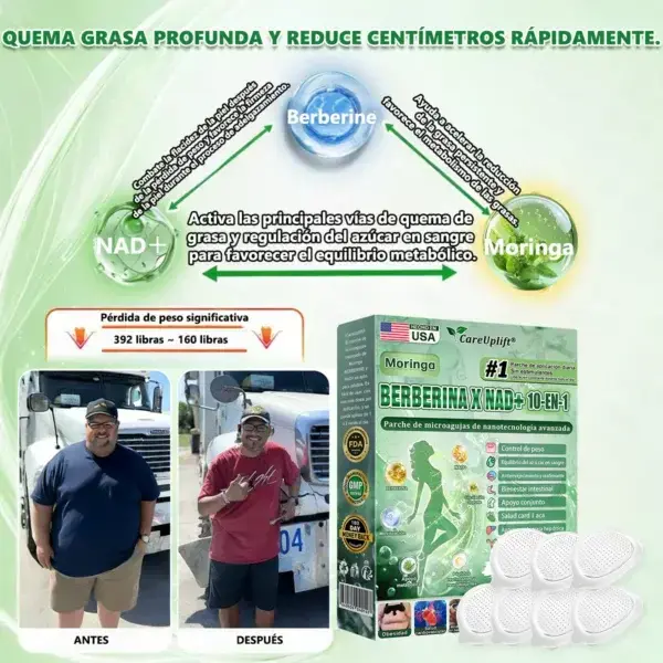 Moringa · Berberina × NAD+ 10-en-1 Advanced Nano Microneedle Patch - Image 2