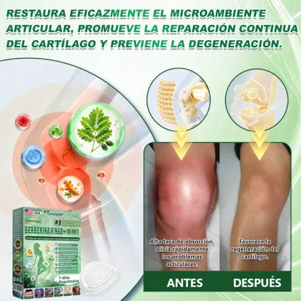 Moringa · Berberina × NAD+ 10-en-1 Advanced Nano Microneedle Patch - Image 3