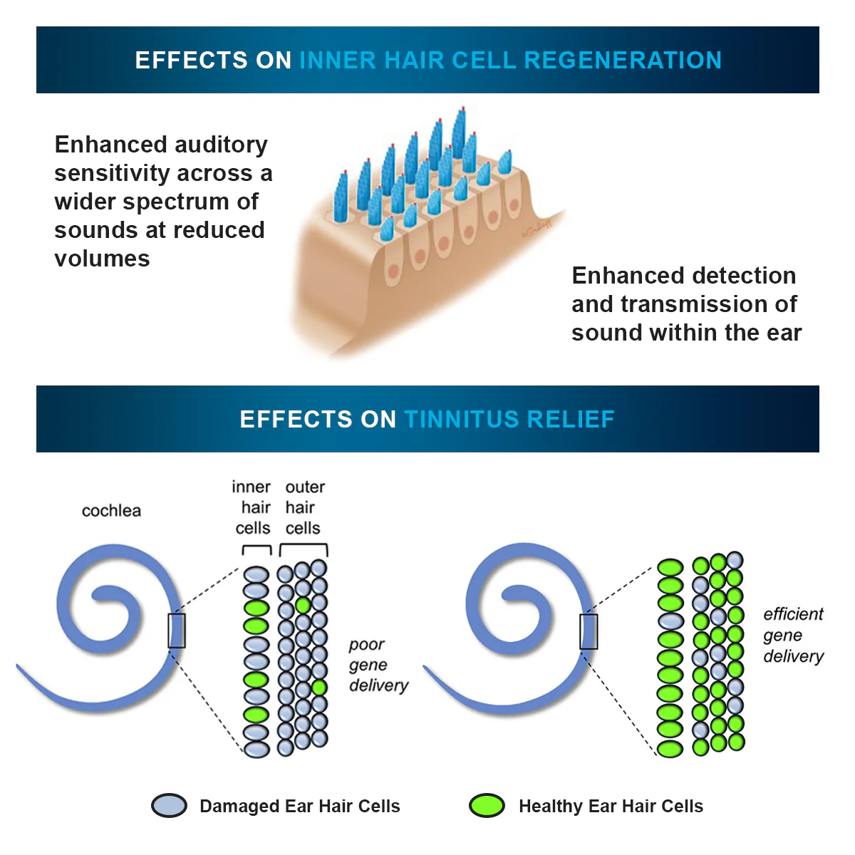 Prowave Professional Tinnitus Treatment Set - Image 5