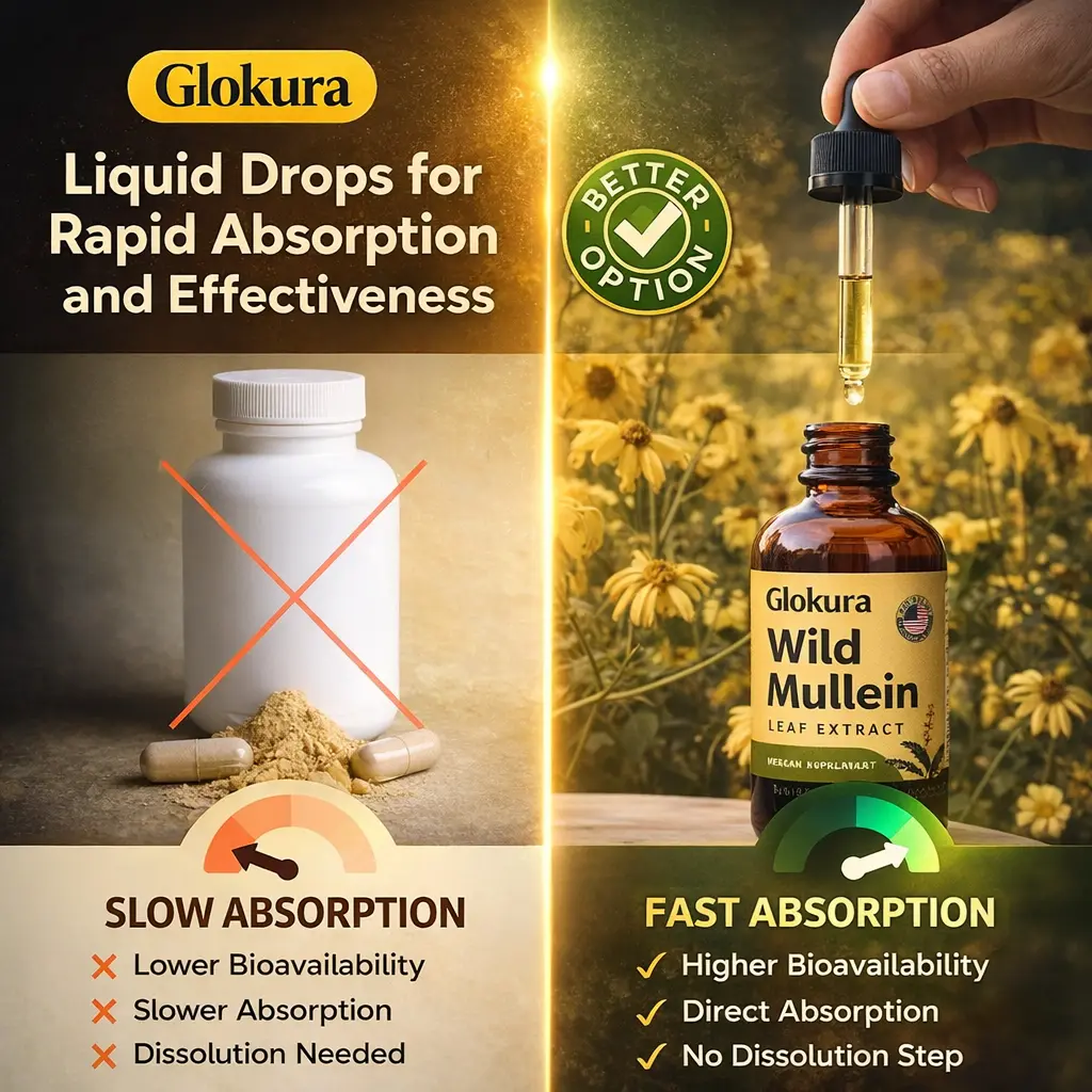 Glokura Maximum Potency Wild Mullein Drops - Image 4