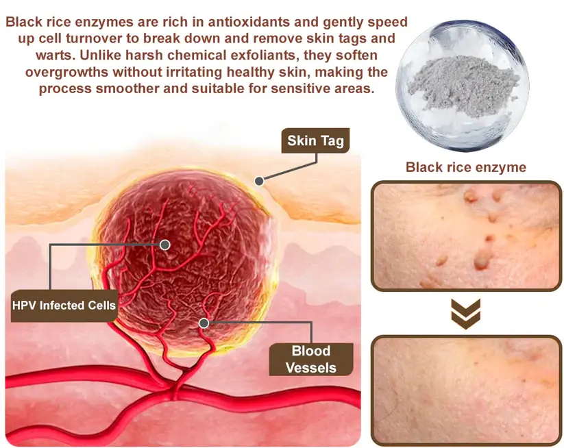 Black Rice Soothing Repair Cream - Image 10