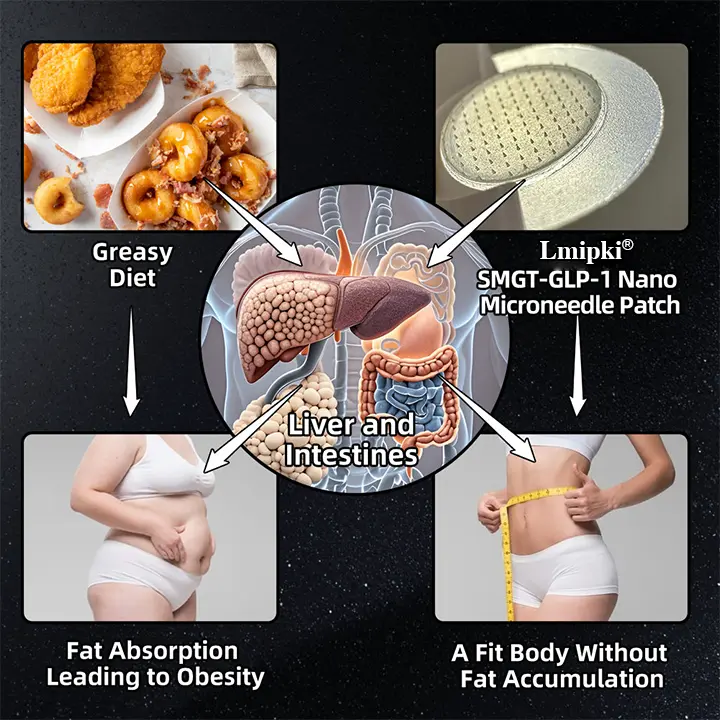 Nano Microneedle Patch - Image 5