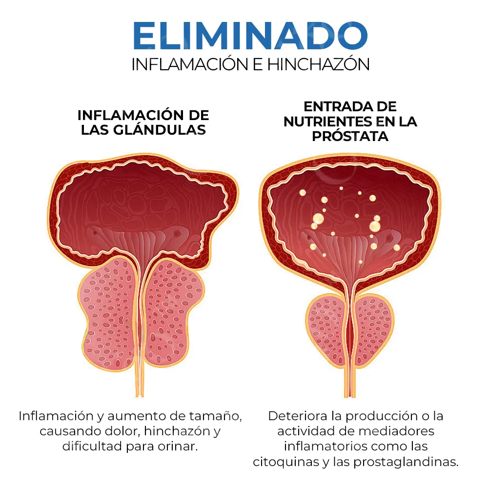 Advanced BeeBoom Nasal Inhaler For Prostate Wellness - Image 11