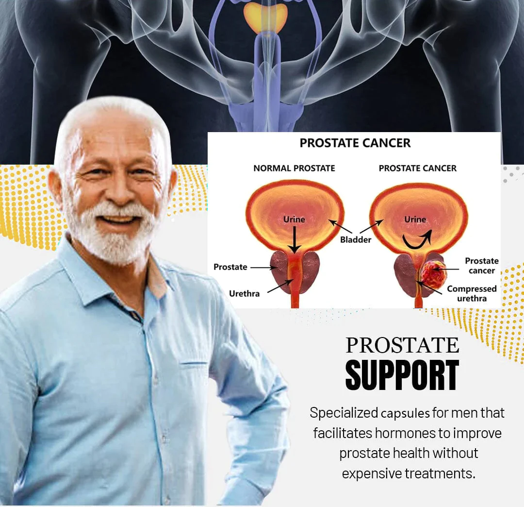 Prostate Therapy Capsules - Supporting Healthy Prostate Function - Image 4