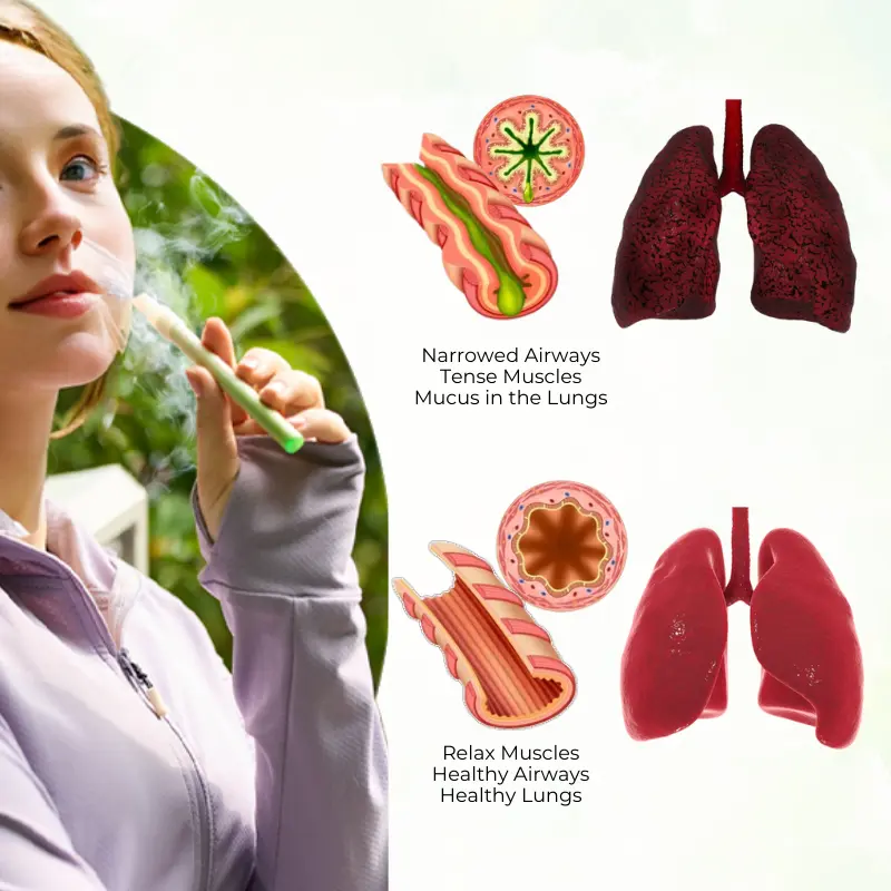 HerbaAir Mullein Lung Purifier - Image 4