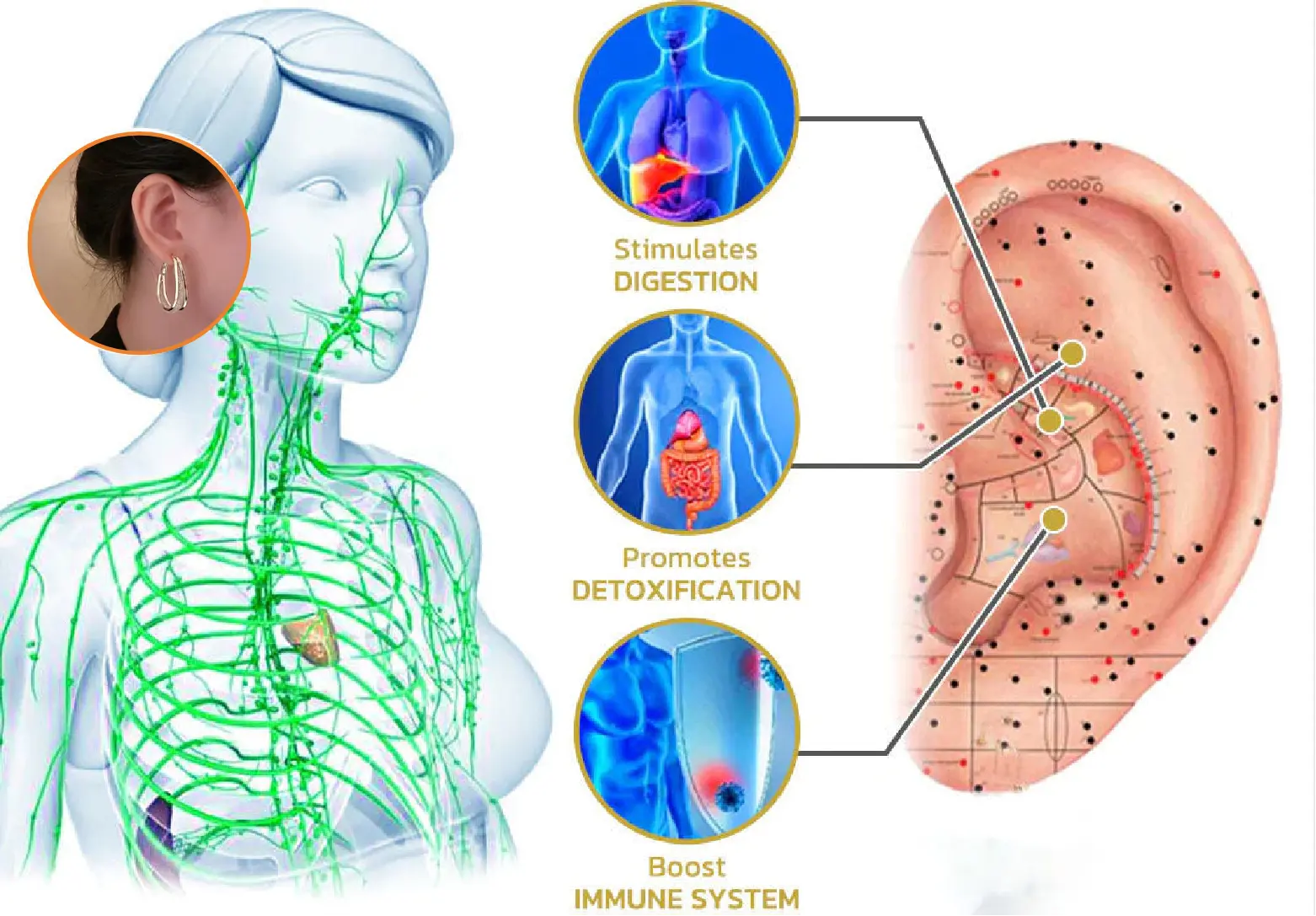 Miniyou Lymphatic Drainage Earrings - Image 5