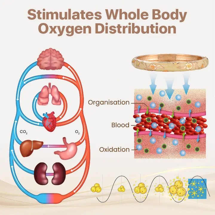 Magnetic Lymphatic Wellness Bracelet - Image 7