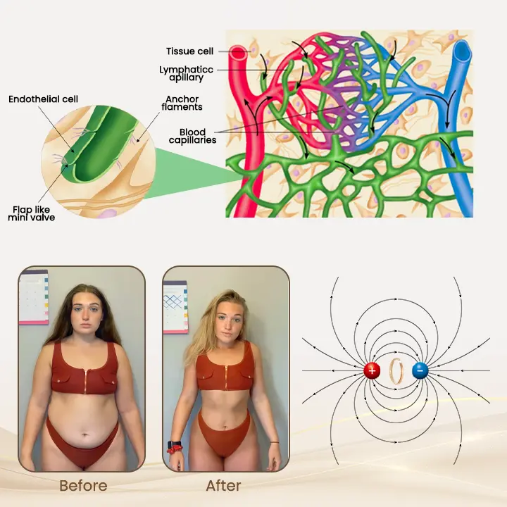 Magnetic Lymphatic Wellness Bracelet - Image 9