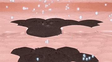 Whitening and Spot-Removing Face Mask Suitable for face and body - Image 7