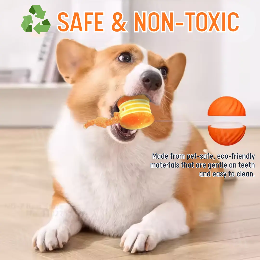 No More Guilty Entertains Your Pup 24/7. - Image 4