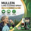 🌿 3X Mullein Lung Spray