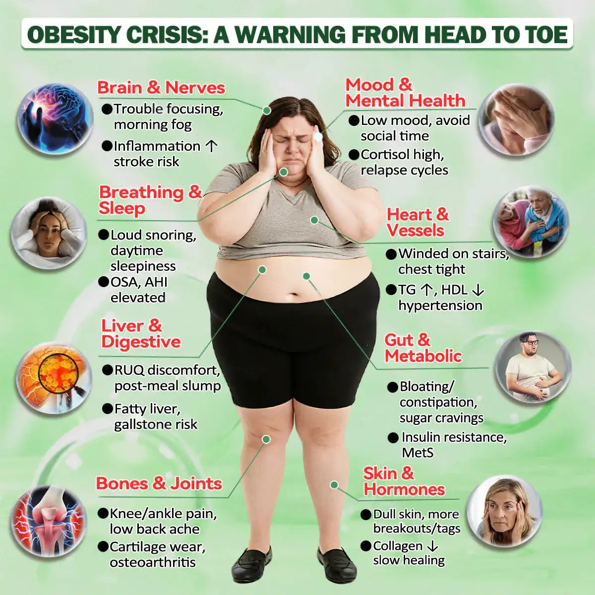 𝐍𝐌𝐍 𝐁𝐄𝐑𝐁𝐄𝐑𝐈𝐍𝐄 𝐱 𝐍𝐀𝐃 𝟐𝟎-𝐢𝐧-𝟏 𝐀𝐝𝐯𝐚𝐧𝐜𝐞𝐝 𝐍𝐚𝐧𝐨 𝐌𝐢𝐜𝐫𝐨𝐧𝐞𝐞𝐝𝐥𝐞 𝐏𝐚𝐭𝐜𝐡 - Image 2