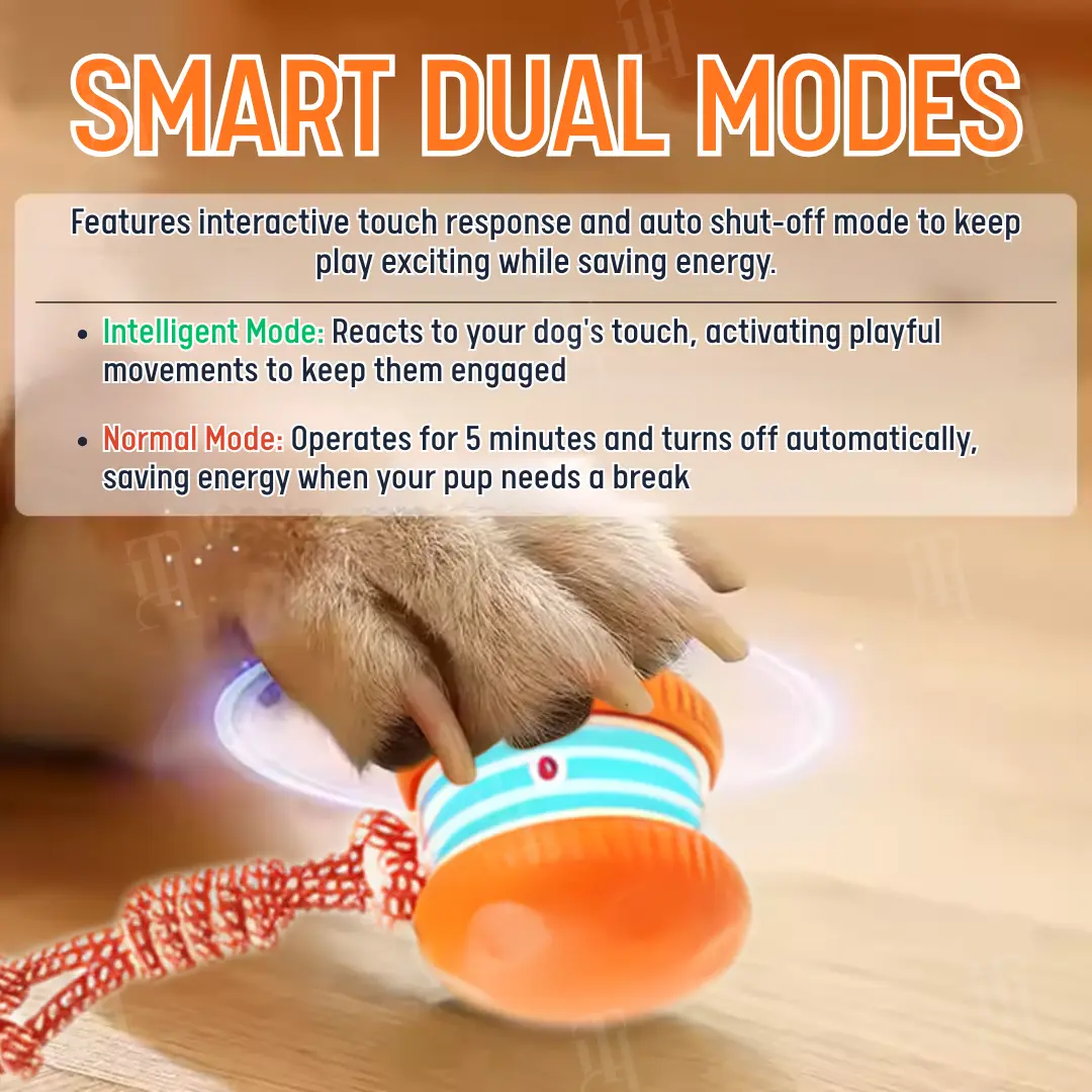 Interactive Moving Dog Ball - Image 5