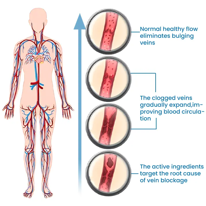 VeinFlow Microneedle Repair Patch - Image 12