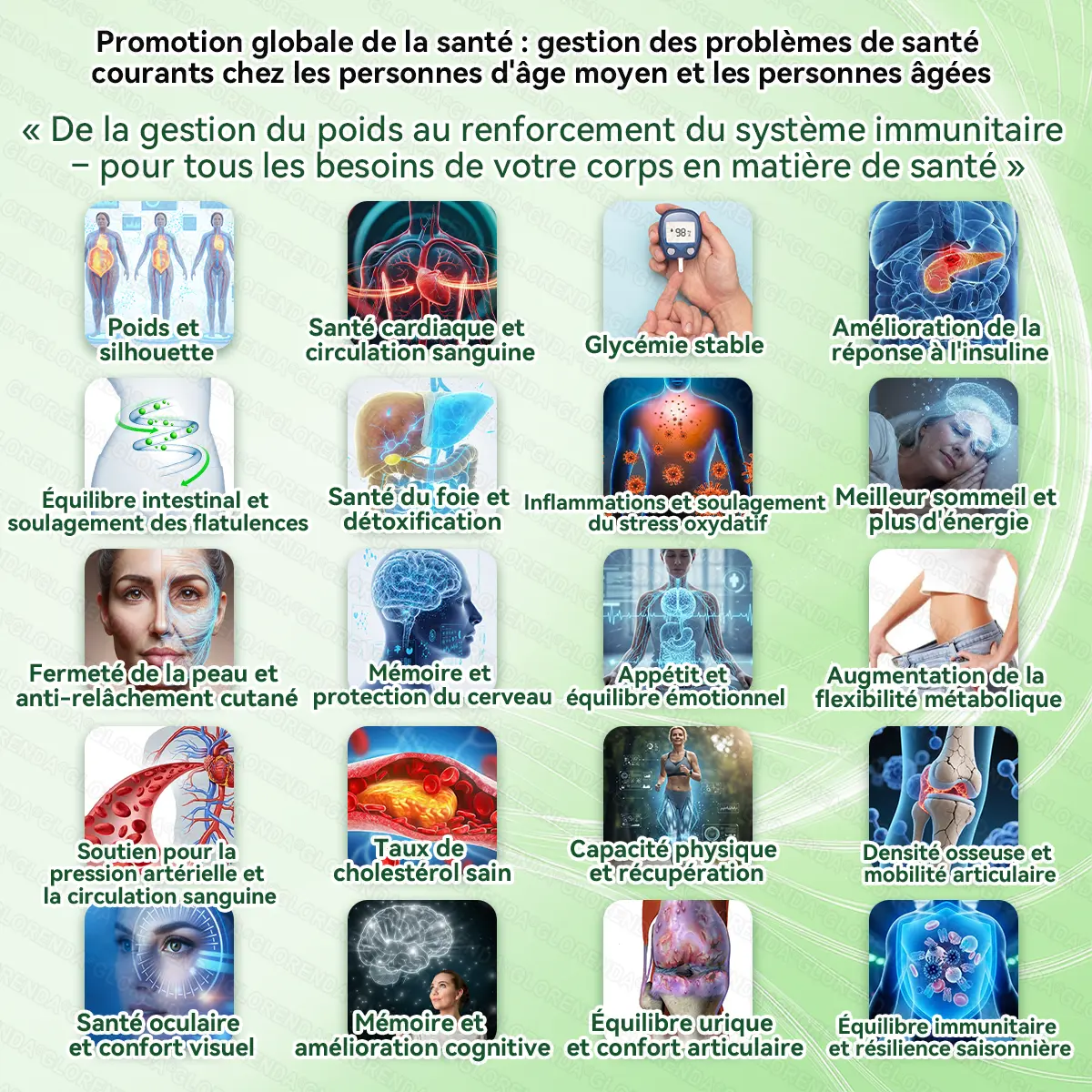 ๐ฉ๐๐๐๐๐๐๐ ๐๐๐๐๐๐๐๐๐๐ | ๐๐ ๐ด๐๐๐๐ง๐ ๐ ยท ๐ฝ๐๐ง๐รฉ๐ง๐๐๐ ร๐๐ผ๐+ ๐ญ0-๐๐-๐ ๐๐๐ฉ๐๐ ๐๐๐๐ง๐ค๐ฃรฉ๐๐
๐๐ ๐จ๐๐๐ง๐รฉ ๐๐๐๐ - Image 7