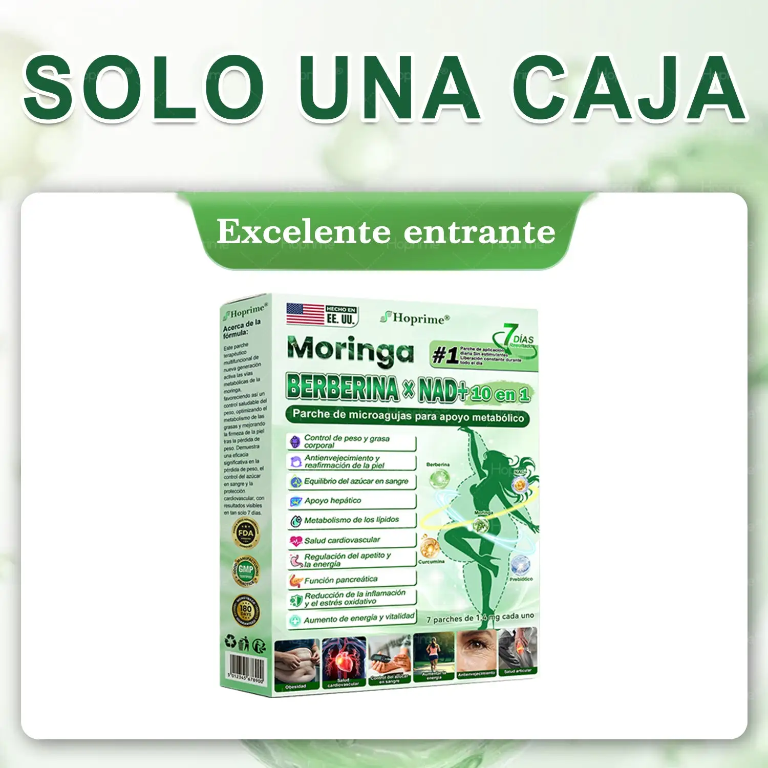 ๐บ๐ธ๐ถ๐๐๐๐๐๐๐ ๐บ๐๐๐๐ | ๐ด๐๐๐๐๐๐ฎ ยท ๐๐ฒ๐ฟ๐ฏ๐ฒ๐ฟ๐๐ฃ๐ ร ๐๐ผ๐+ ๐๐-๐ข๐ง-๐ ๐๐ฑ๐๐ฎ๐ป๐ฐ๐๐ ๐๐๐ฃ๐ค ๐๐๐๐ง๐ค๐ฃ๐๐๐๐ฅ๐ ๐๐๐ญ๐๐ - Image 19