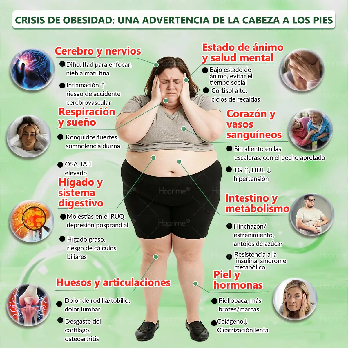 ๐บ๐ธ๐ถ๐๐๐๐๐๐๐ ๐บ๐๐๐๐ | ๐ด๐๐๐๐๐๐ฎ ยท ๐๐ฒ๐ฟ๐ฏ๐ฒ๐ฟ๐๐ฃ๐ ร ๐๐ผ๐+ ๐๐-๐ข๐ง-๐ ๐๐ฑ๐๐ฎ๐ป๐ฐ๐๐ ๐๐๐ฃ๐ค ๐๐๐๐ง๐ค๐ฃ๐๐๐๐ฅ๐ ๐๐๐ญ๐๐ - Image 6