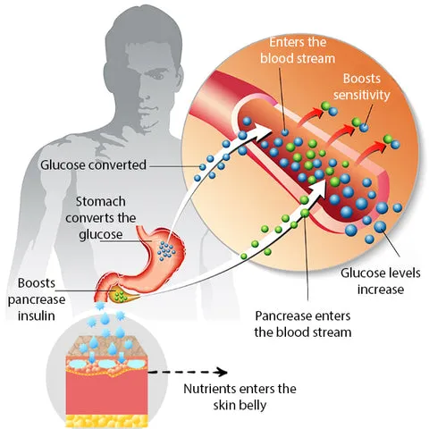 EAST Berberine HCl Sugar Down Drops - Image 5