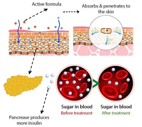EAST Berberine HCl Sugar Down Drops - Image 6